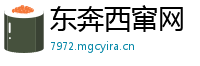 东奔西窜网